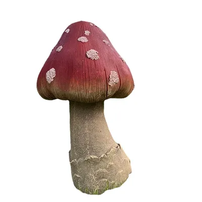 Картотека "Съедобные грибы" | скачать и распечатать