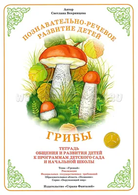 Картинки грибов с названиями для детей и взрослых