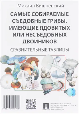 Опасные двойники: Как не отравиться ядовитыми близнецами грибов в  Подмосковье