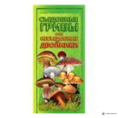 Грибы-двойники: как отличить съедобный вид от ядовитого?