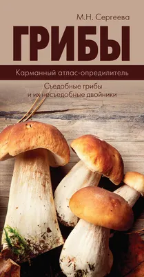 Грибы. Карманный атлас-определитель. Съедобные грибы и их несъедобные  двойники, Мария Сергеева – скачать pdf на ЛитРес