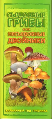 Книга "Грибы съедобные и их двойники. Карманный гид грибника" - купить  книгу в интернет-магазине «Москва» ISBN: 978-5-17-075229-4, 582211