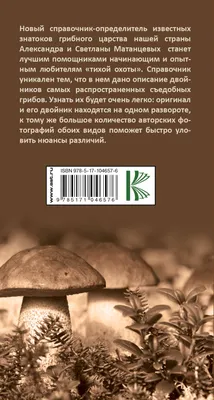 Съедобные грибы и их двойники, , АСТ купить книгу 978-5-17-109056-2 – Лавка  Бабуин, Киев, Украина