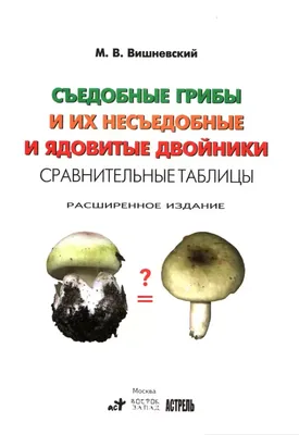 Урок природоведения по теме "Шляпочные грибы". 5-й класс