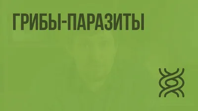 Книга Грибы-паразиты культурных растений. Определитель в трех томах. Том 1  (Пидопличко Н.М.) 1977 г. Артикул: 11158432 купить