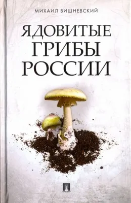 Памятка МЧС России "Самые распространенные ядовитые грибы". » Тверской  педагогический колледж