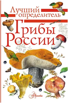 В России грибы получили статус сельхозпродукции - РИА Новости, 