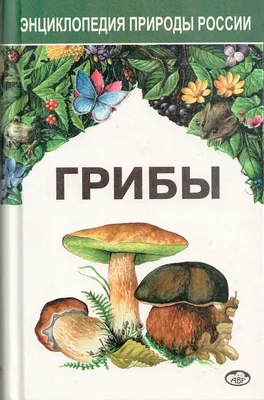 Книга: "Грибы России. Определитель" - Станислав Кривошеев. Купить книгу,  читать рецензии | ISBN 978-5-17-123028-9 | Лабиринт