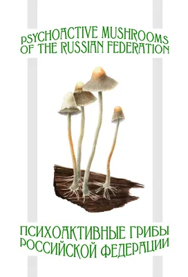 Психоактивные грибы Российской Федерации. Набор открыток в суперобложке (24  открытки, рус/англ). - Fungiline