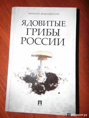 Грибы средней полосы России: Атлас-определитель | Доставка по Европе