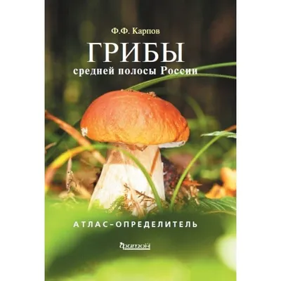 После проливных дождей в Приморье выросли шагающие грибы-животные - 