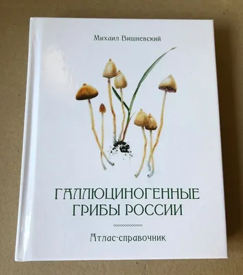 Старинная цветная гравюра в раме «Ядовитые грибы», Россия, н. 20 в.