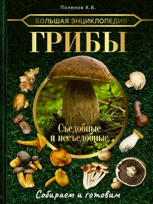 Большая энциклопедия. Грибы. Съедобные и несъедобные. Собираем и готовим А.  Поленов - купить книгу Большая энциклопедия. Грибы. Съедобные и несъедобные.  Собираем и готовим в Минске — Издательство АСТ на 