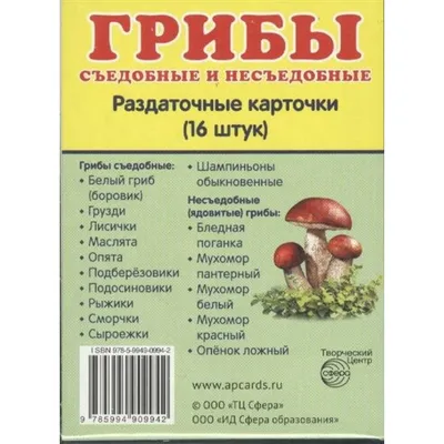 Как без труда отличить съедобный гриб от ядовитого. Простой лайфхак | РБК  Life