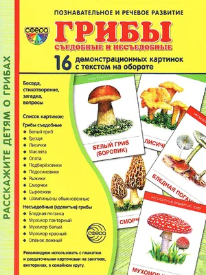 О профилактике пищевых отравлений дикорастущими грибами — Каменоломненское  городское поселение