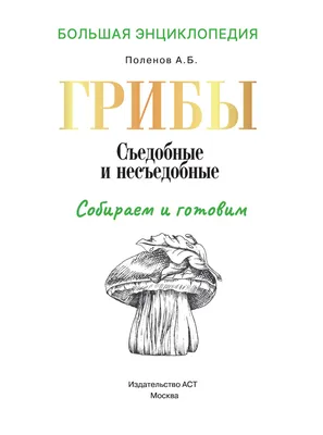 Иллюстрация 30 из 30 для Грибы. Съедобные и несъедобные. Начальная школа.  ФГОС | Лабиринт - книги. Источник: