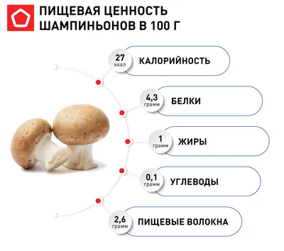 Шампиньоны: особенности и польза