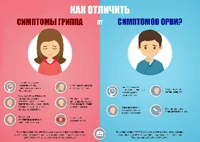 Как отличить грипп от ОРВИ | Новости | Администрация города Мурманска -  официальный сайт