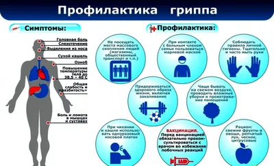 ПРОФИЛАКТИКА ГРИППА - Муниципальные новости - НОВОСТИ / СОБЫТИЯ /  ОБЪЯВЛЕНИЯ - Городской округ Заречный