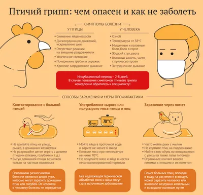 ОПАСНО!!!! ГРИПП!!! - Государственное бюджетное учреждение «Щучанская  центральная районная больница»