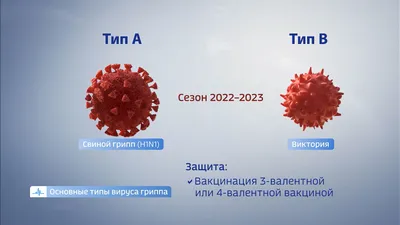 Глава Роспотребнадзора заявила, что свиной грипп пришел в Россию всерьез —  РБК