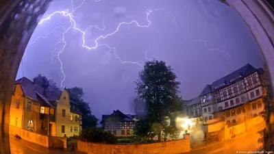 ЧП в Кингисеппе: грозы и ливни обрушили деревья (Фото+Видео) (  - Новости Кингисеппа)