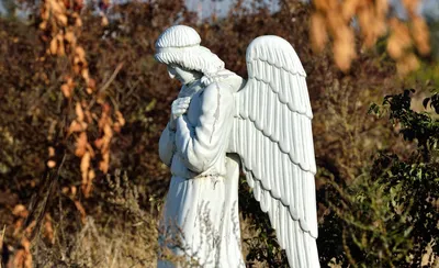 Купить Статуэтка Nude Sad Angel, коллекция "Обнаженный грустный ангел"  артикул KARE__63895 | интернет-магазин Details