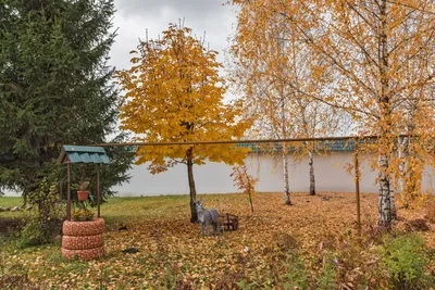 Осенняя хандра грусть, дождь за …» — создано в Шедевруме