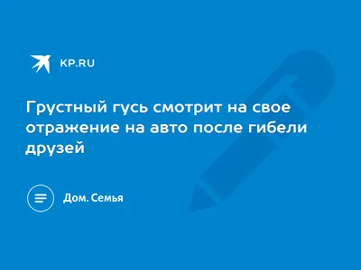 Дорогие друзья🤗. Я Вам расскажу очень грустную историю, но мне так сильно  хочется, чтобы у этой истории был хороший конец - как в… | Instagram