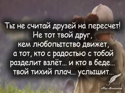 Секрет грустного кролика. Тина Нолан - «Поучительные истории о добре и  спасении животных. Приют "Лапа дружбы" и его обитатели, которые ищут дом» |  отзывы