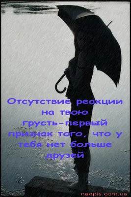 Яндекс Музыка изучила песни о любви: какими словами и в каких жанрах их поют