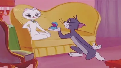 Том и Джерри . Блюз грустного кота. Tom and Jerry Jocelyn flores. - YouTube