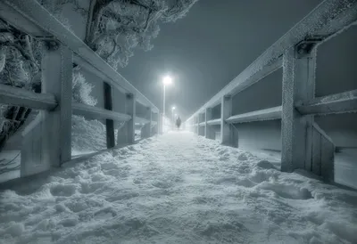 Холодный зимний лес, закат, луна, …» — создано в Шедевруме