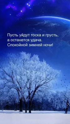 ДОБРОЕ УТРО! Пусть в меру радость, пусть в меру грусть. С ДОБРЫМ ЗИМНИМ  УТРОМ! | с Мариной Гусаковой | Дзен