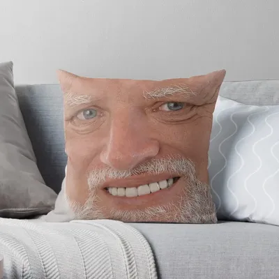 Скрыть боль, Гарольд мем-грустный парень, диванная подушка, подушка,  эстетический диван, наволочка | AliExpress