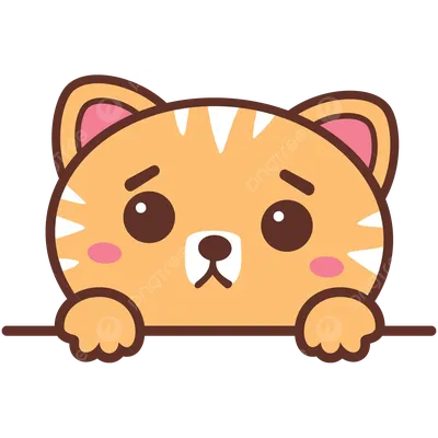 В сети появился новый мемный кот: познакомьтесь с грустным Панчо - Hi-Tech  