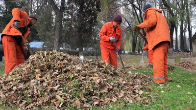 В "Тазалык" требуются водители мусоровозов и грузчики — какая зарплата -  , Sputnik Кыргызстан