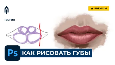 Идеальные формы губ, или как красиво нарисовать губы? | DermaQuest | Дзен