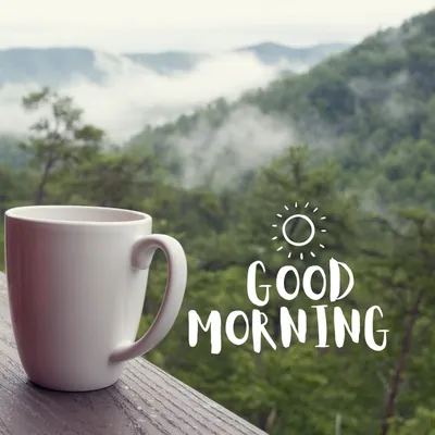 91Good Morning Images - Download the Best of 2024: Good Morning HD images  for Free!