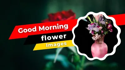 284+ Good Morning Sweetheart Images and Wallpapers