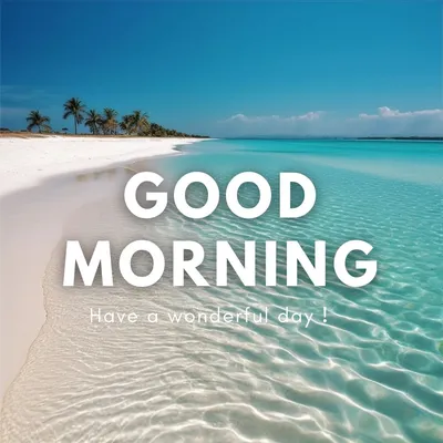 Good Morning Images, Wishes, Quotes, Greetings, Text, WhatsApp Status N  Messages