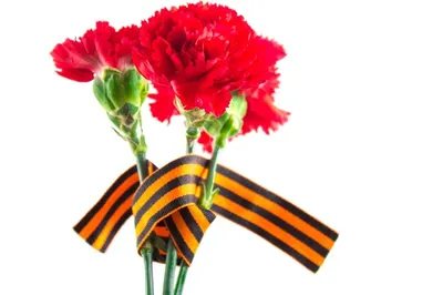 Блог "Разноцветный мир": Георгиевская лента: знак памяти, скорби и  благодарности, или Как носить георгиевскую ленту