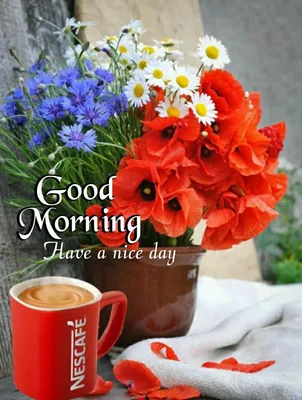 🌹GOOD MORNING FRIENDS 🤗HAVE A NICE DAY 💐 Images • Fatima 💕873 (@87387e)  on ShareChat