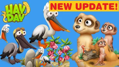 Update | Hay Day Wiki | Fandom