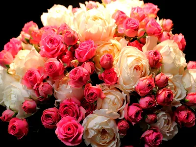 Скачать 1920x1080 розы, цветы, букет, разноцветный обои, картинки full hd,  hdtv, fhd, 1080p