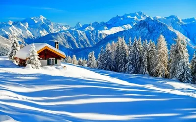 Nature Winter HD Wallpaper