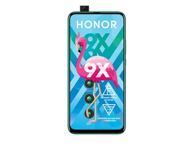 Honor 9X Smartphone Review: A new Huawei smartphone with Google Play  Services -  Reviews