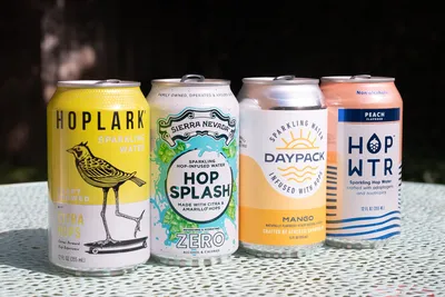 The 5 Best Hop Waters of 2024 | Reviews by Wirecutter