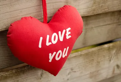 I Love You Red Wood - Бесплатное фото на Pixabay
