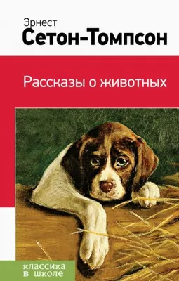 Книга: "Рассказы о животных" - Эрнест Сетон-Томпсон. Купить книгу, читать  рецензии | ISBN 978-5-04-111992-8 | Лабиринт